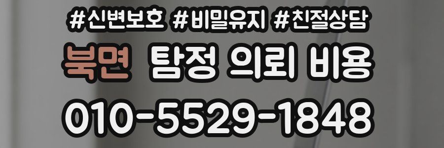 북면 탐정 의뢰 비용