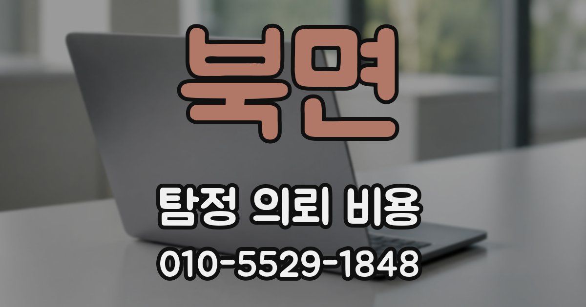 북면 탐정 의뢰 비용