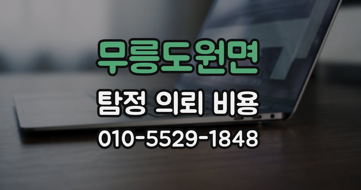 무릉도원면 탐정 의뢰 비용