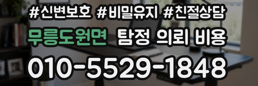 무릉도원면 탐정 의뢰 비용