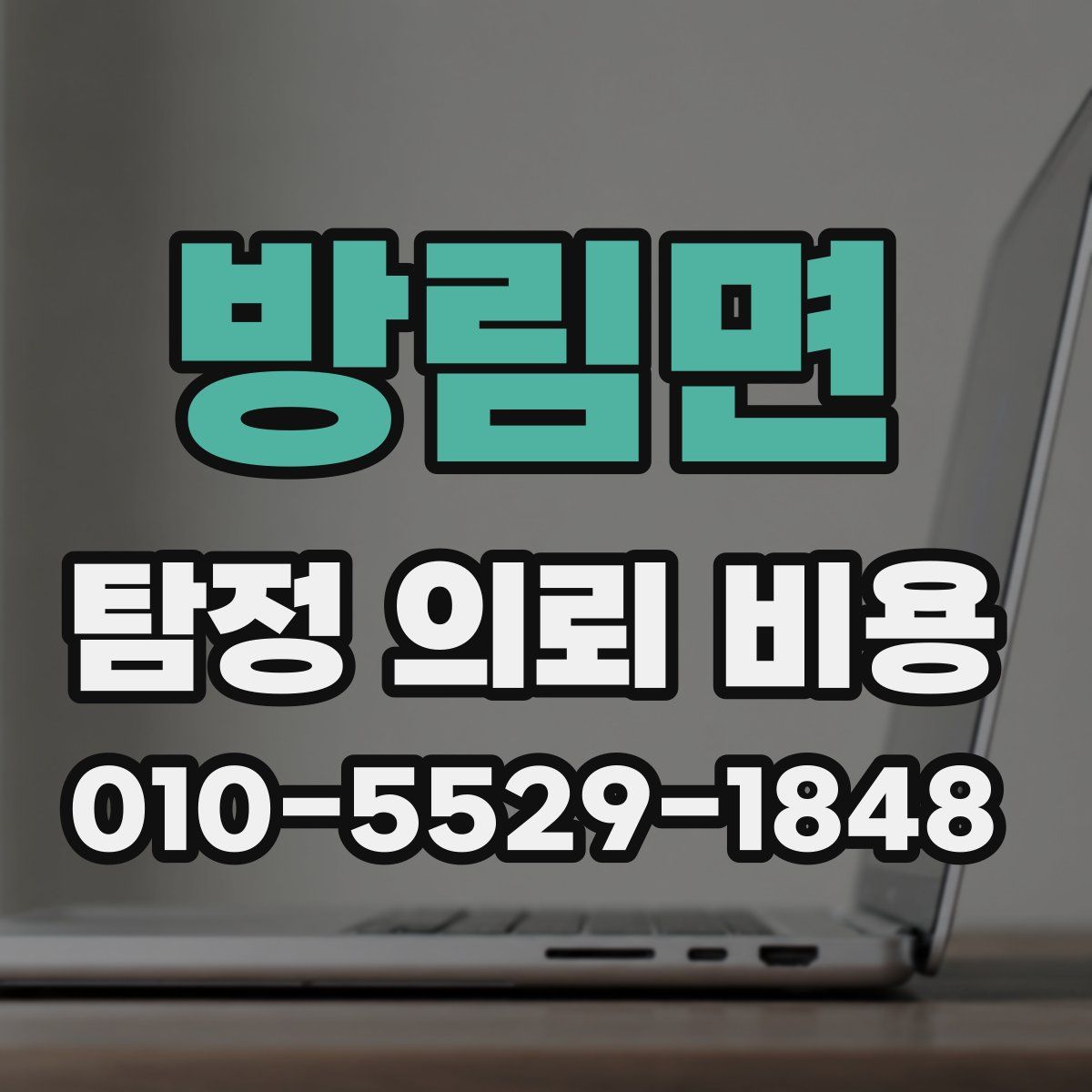방림면 탐정 의뢰 비용