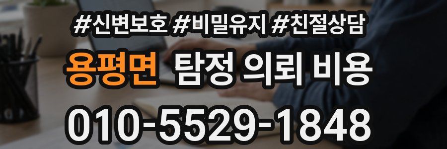 용평면 탐정 의뢰 비용
