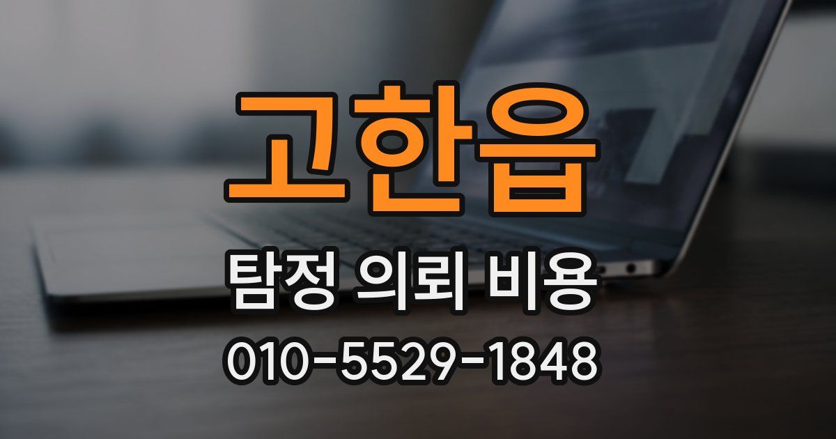 고한읍 탐정 의뢰 비용