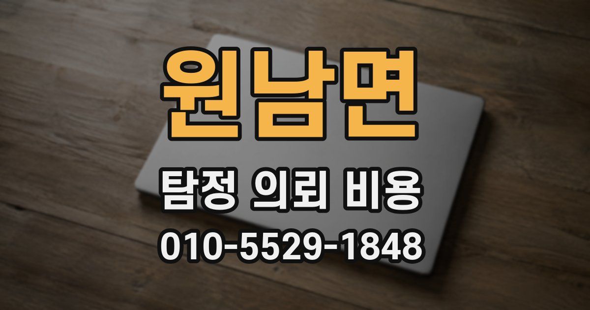 원남면 탐정 의뢰 비용