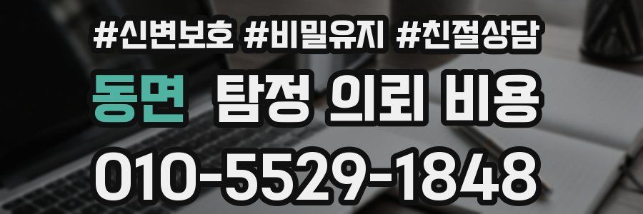 동면 탐정 의뢰 비용