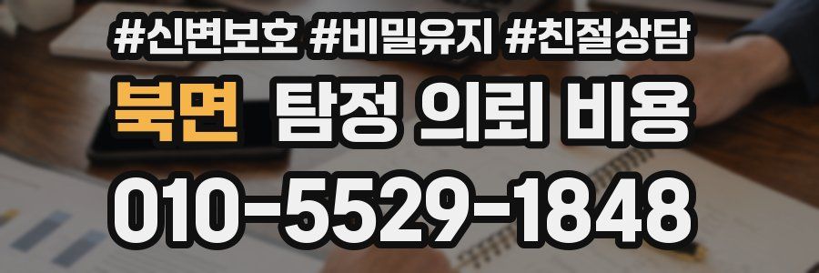 북면 탐정 의뢰 비용