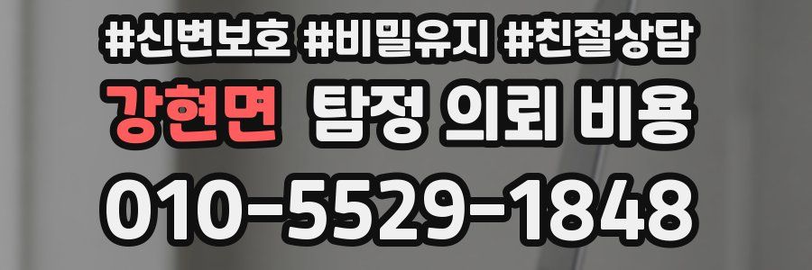 강현면 탐정 의뢰 비용