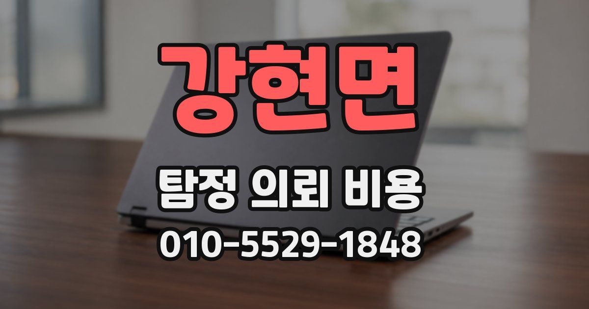 강현면 탐정 의뢰 비용