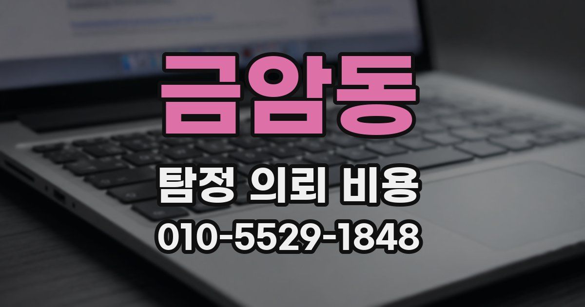 금암동 탐정 의뢰 비용