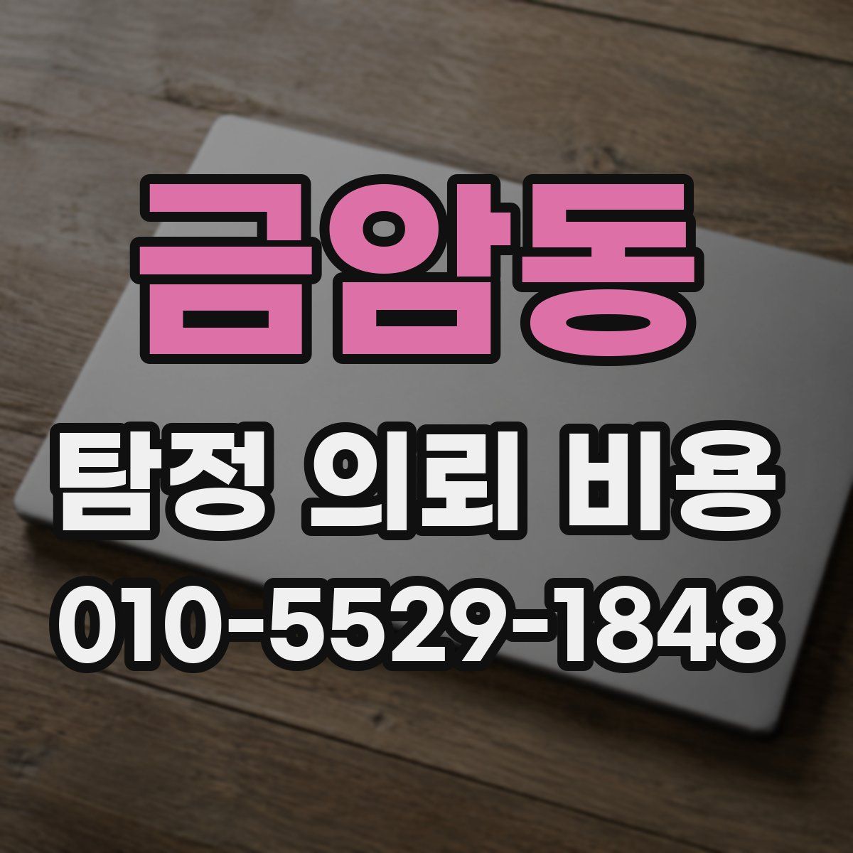 금암동 탐정 의뢰 비용