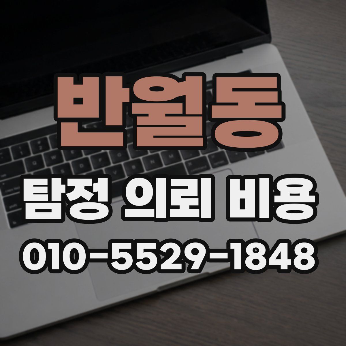 반월동 탐정 의뢰 비용