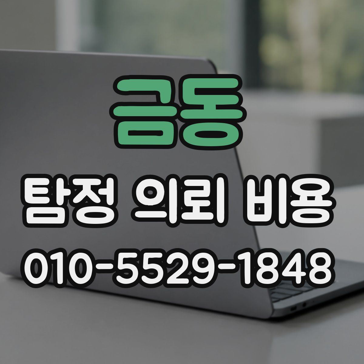 금동 탐정 의뢰 비용