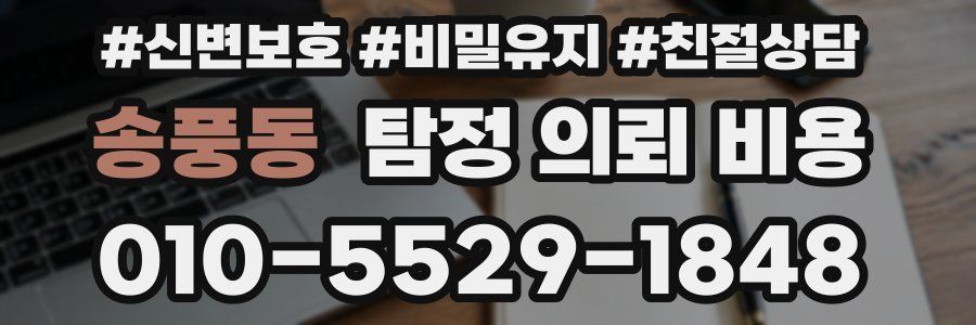 송풍동 탐정 의뢰 비용