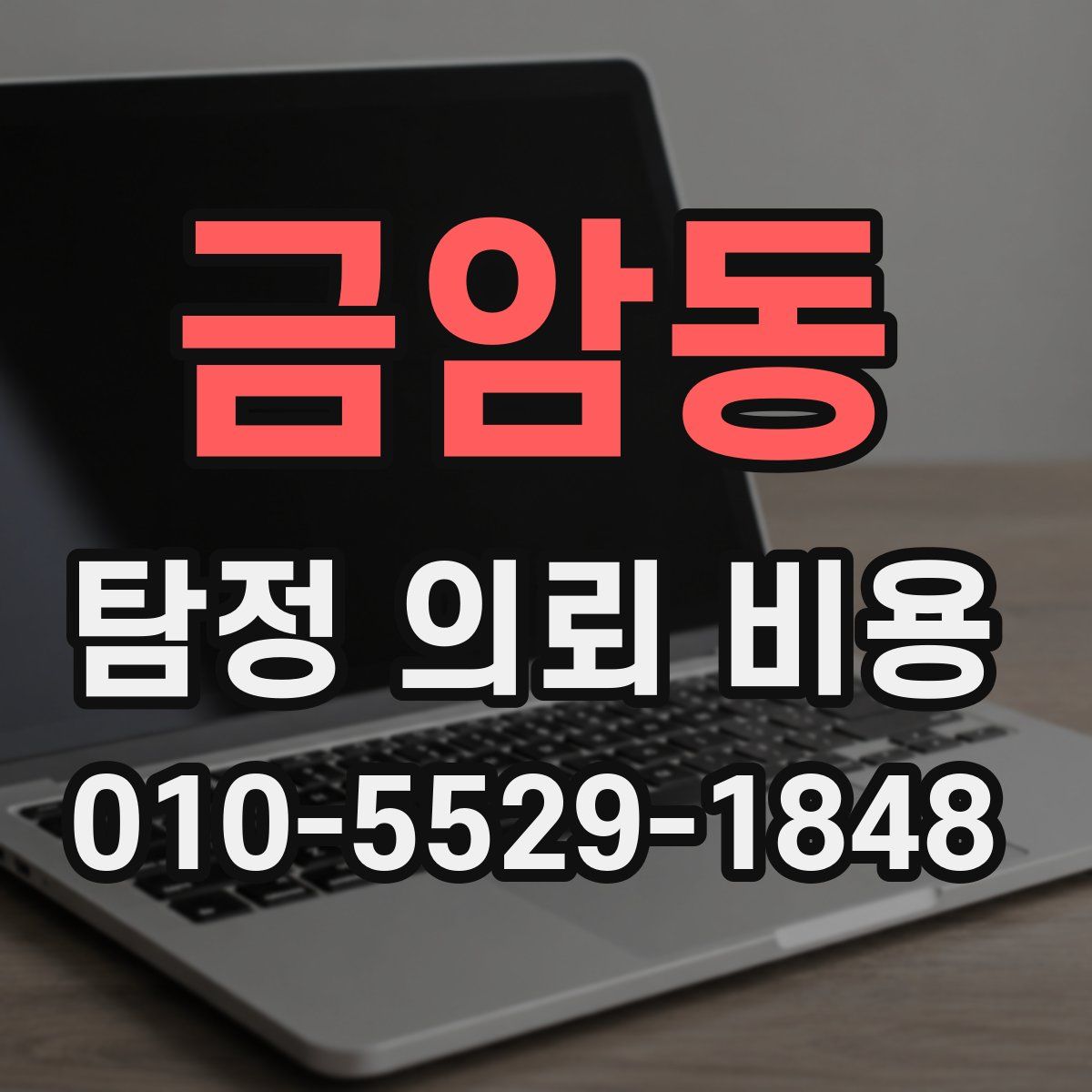 금암동 탐정 의뢰 비용