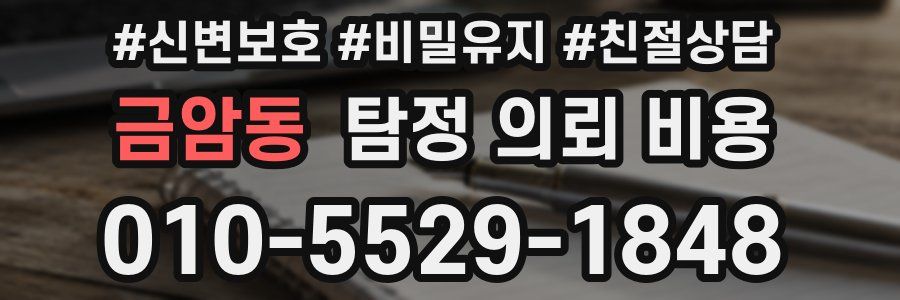 금암동 탐정 의뢰 비용