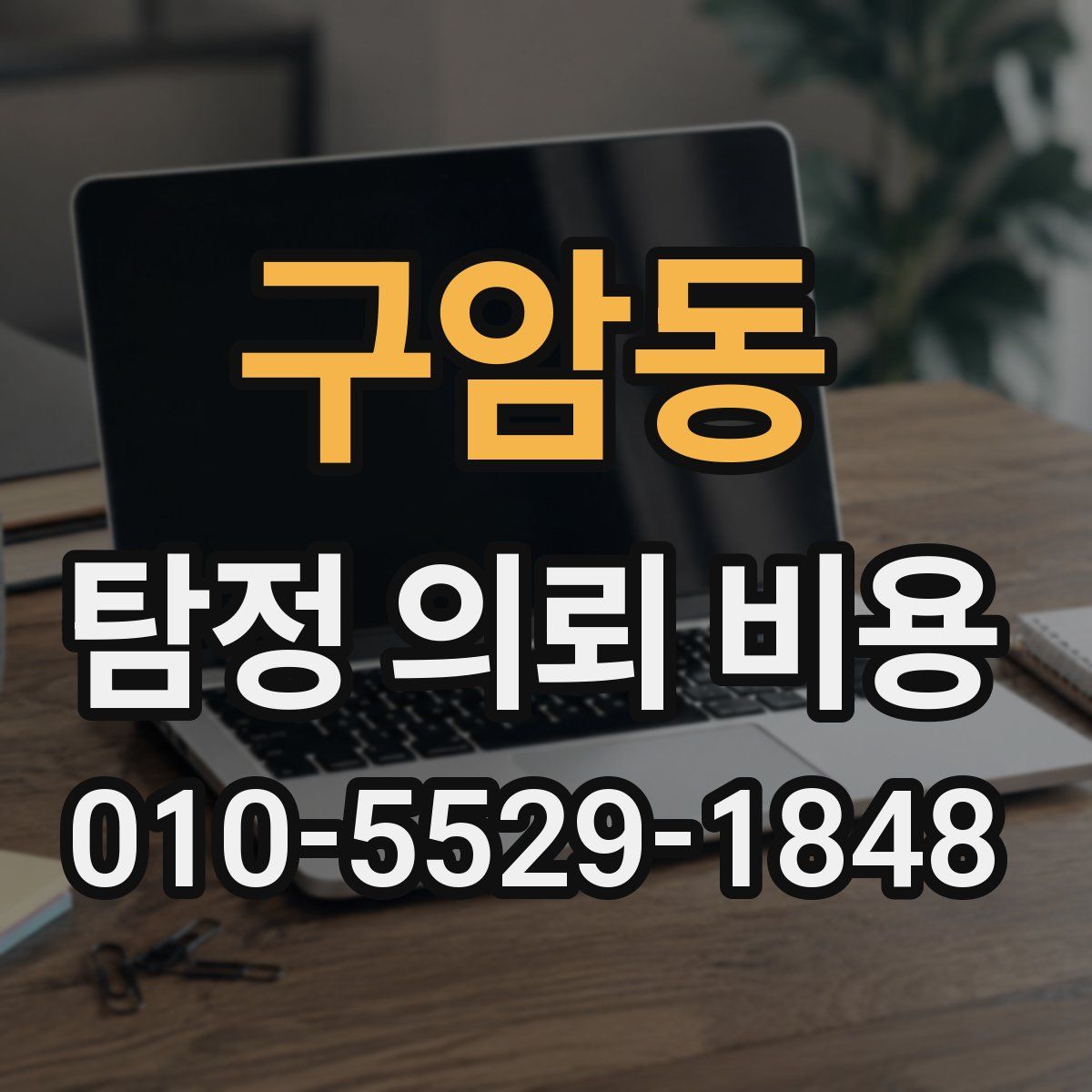 구암동 탐정 의뢰 비용