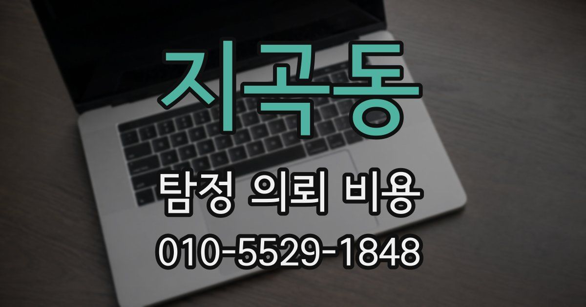 지곡동 탐정 의뢰 비용