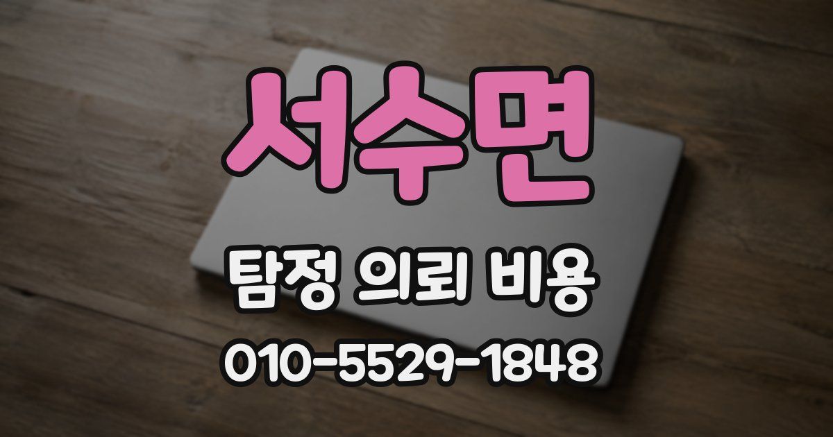 서수면 탐정 의뢰 비용