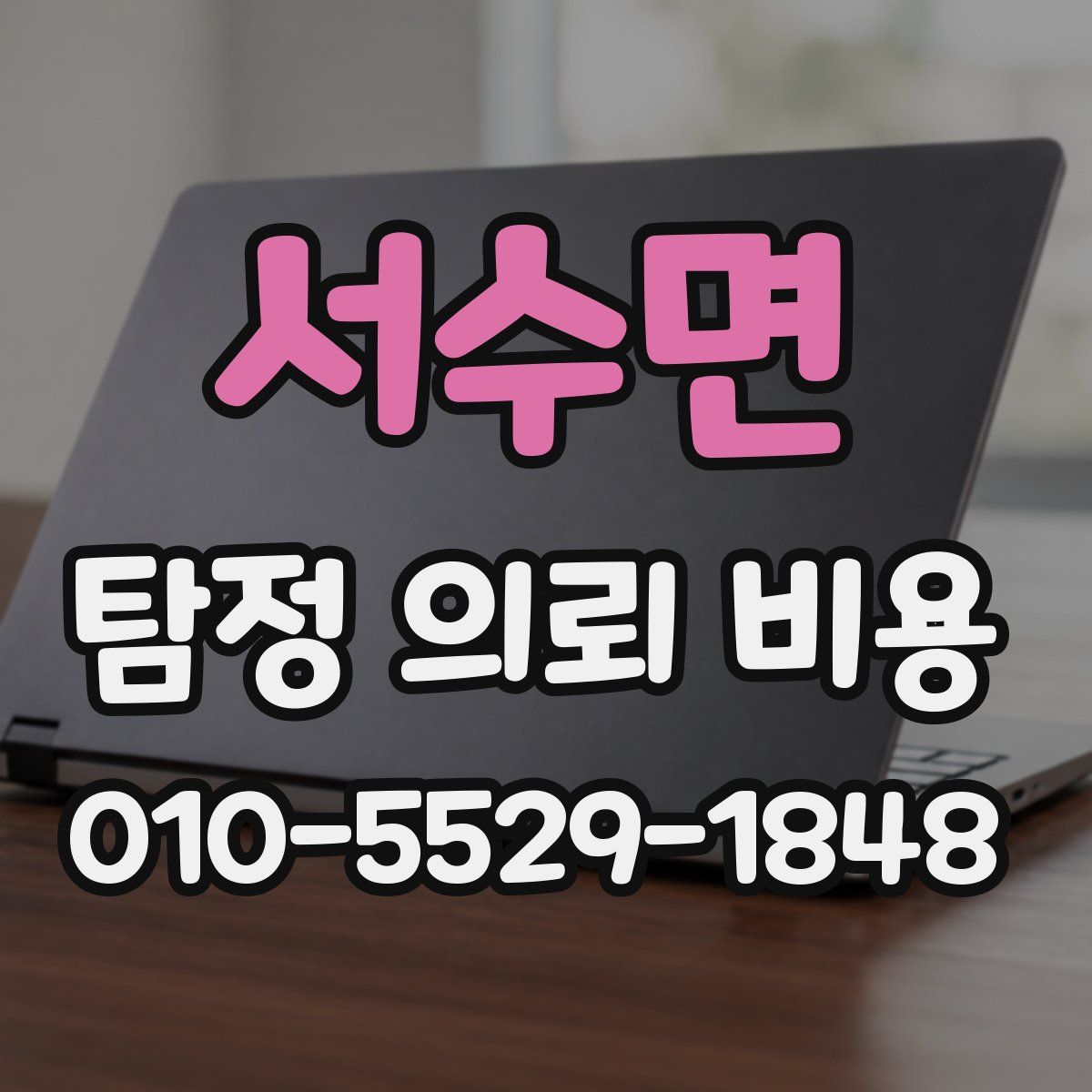 서수면 탐정 의뢰 비용