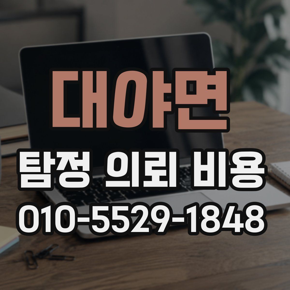 대야면 탐정 의뢰 비용