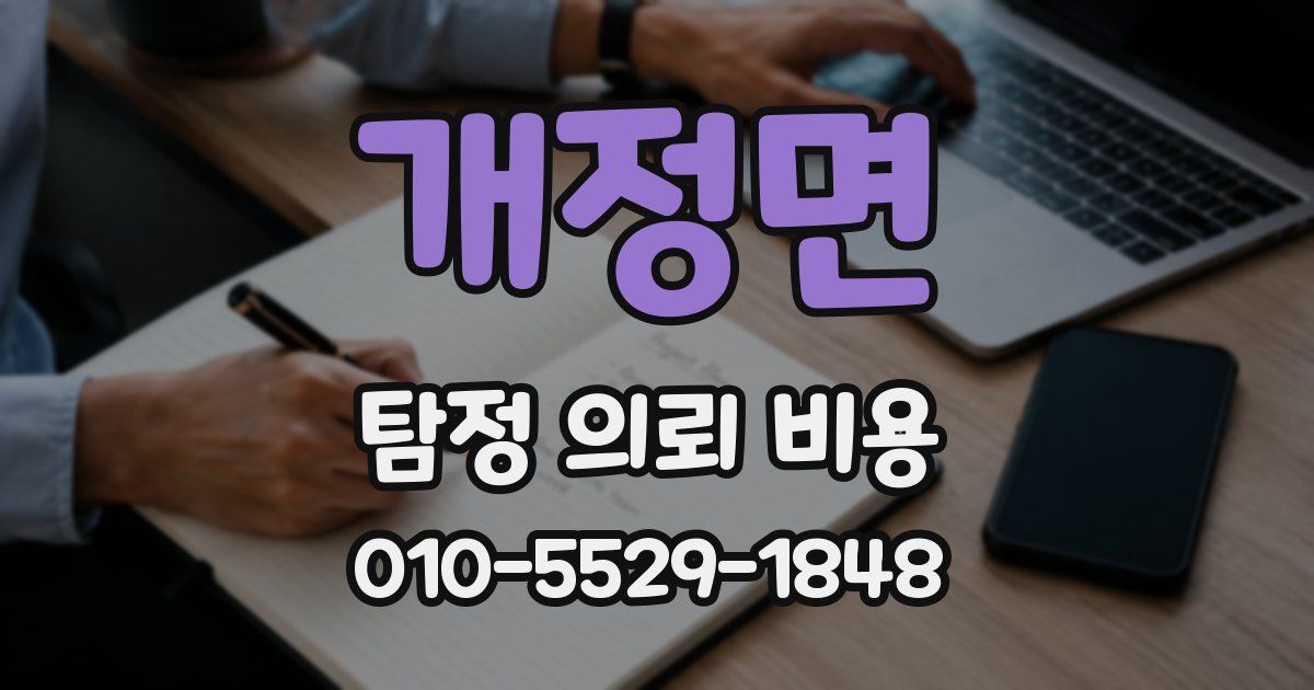 개정면 탐정 의뢰 비용