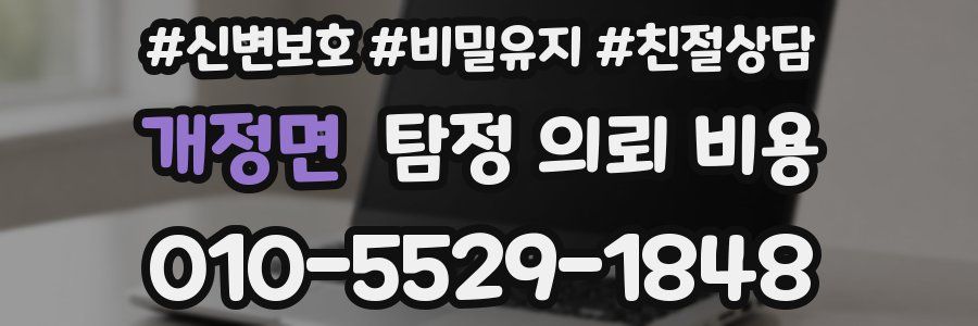 개정면 탐정 의뢰 비용