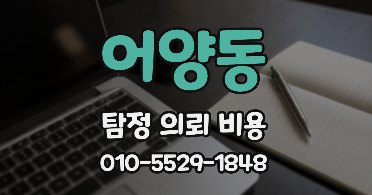 어양동 탐정 의뢰 비용