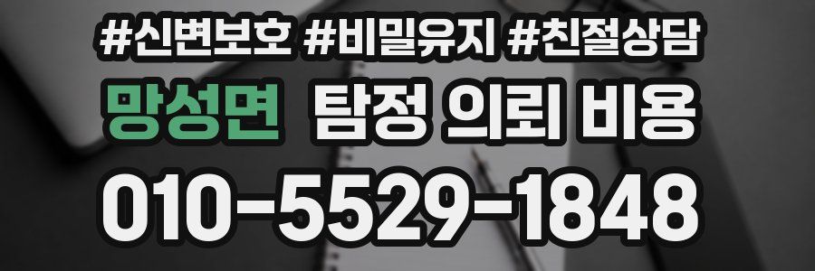 망성면 탐정 의뢰 비용