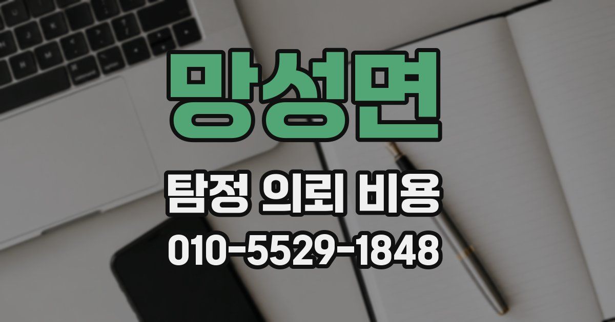 망성면 탐정 의뢰 비용