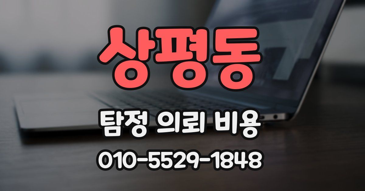 상평동 탐정 의뢰 비용