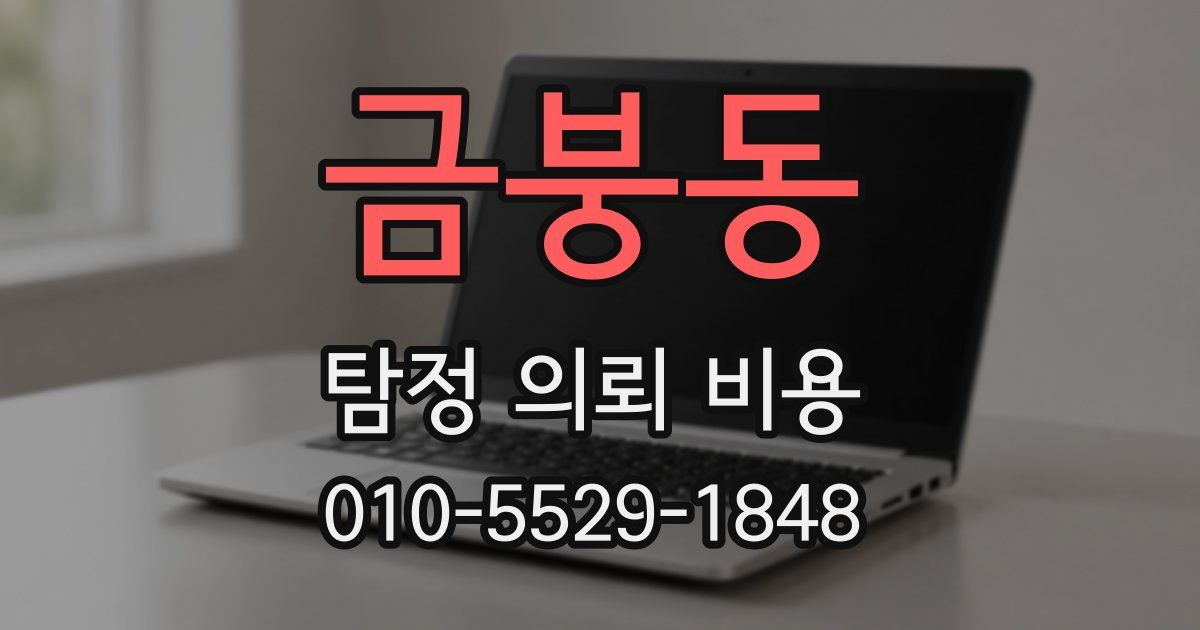 금붕동 탐정 의뢰 비용