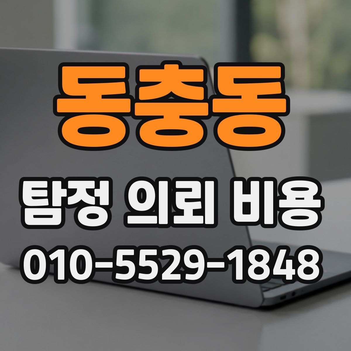 동충동 탐정 의뢰 비용