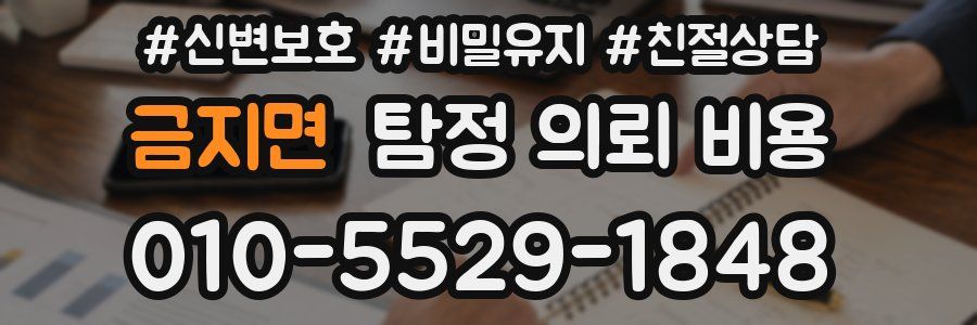 금지면 탐정 의뢰 비용