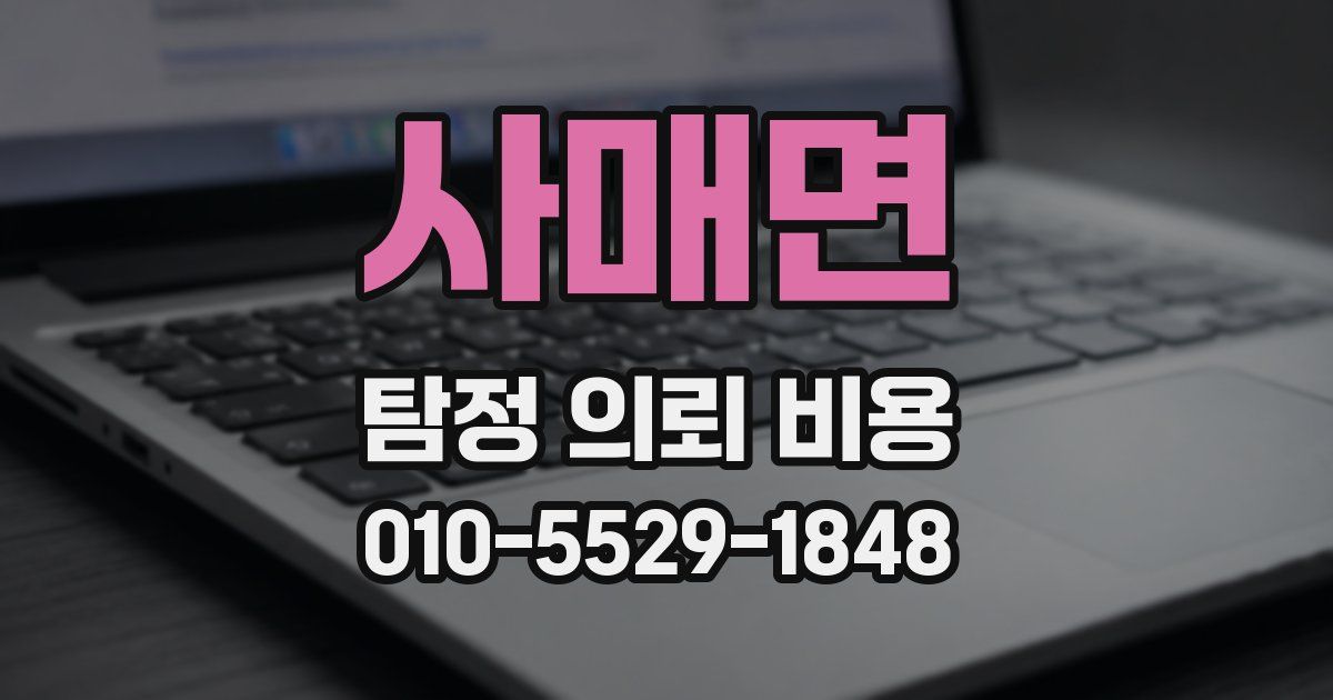 사매면 탐정 의뢰 비용