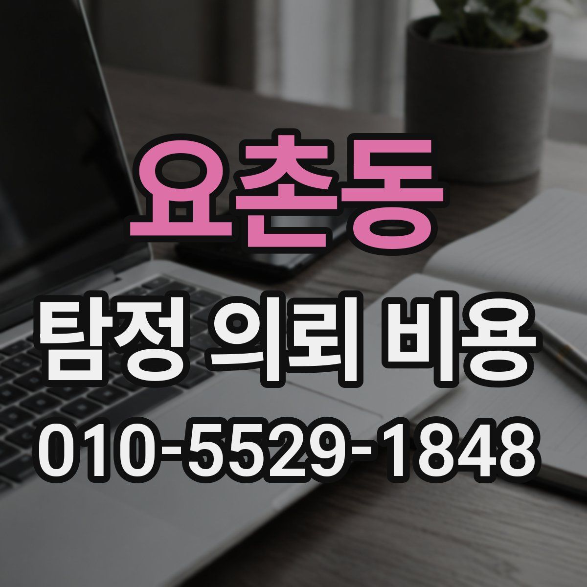 요촌동 탐정 의뢰 비용