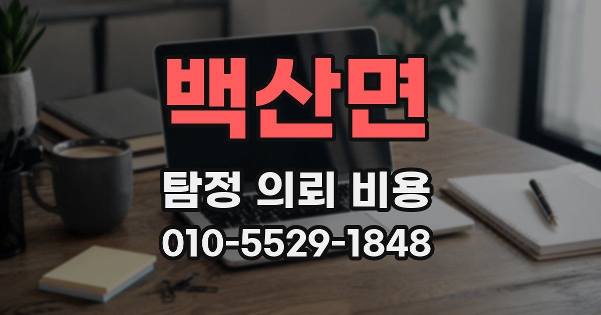 백산면 탐정 의뢰 비용