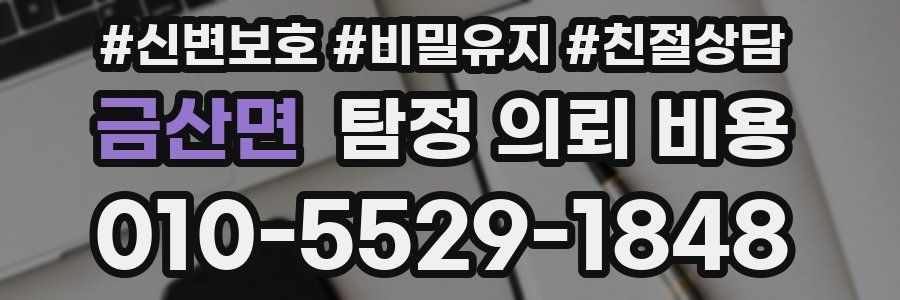 금산면 탐정 의뢰 비용