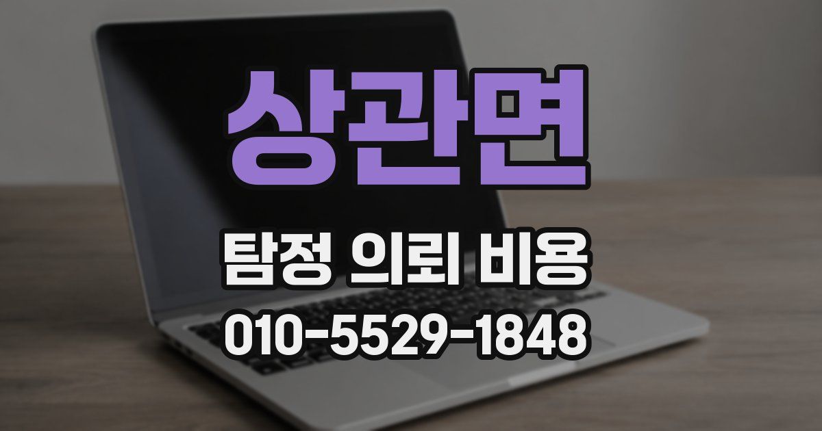 상관면 탐정 의뢰 비용