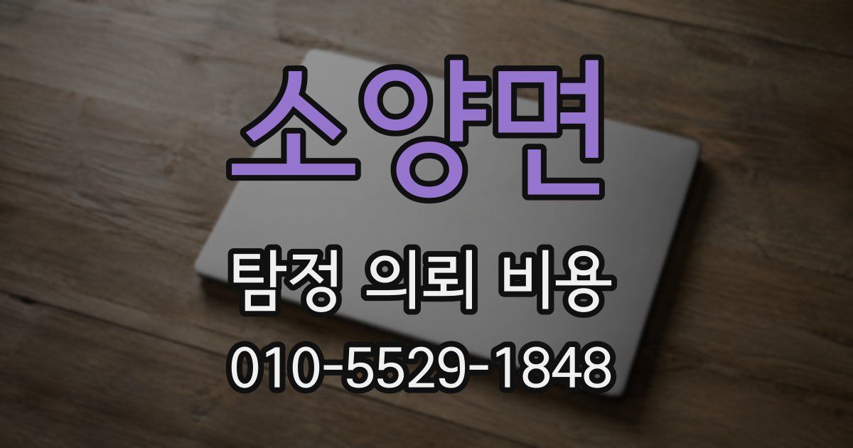 소양면 탐정 의뢰 비용
