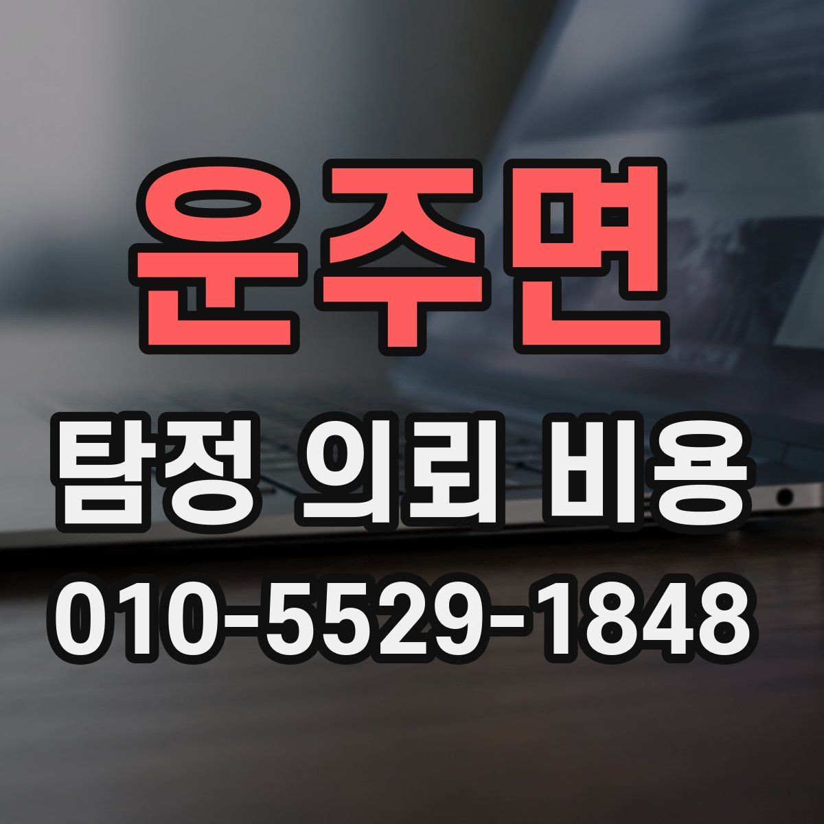 운주면 탐정 의뢰 비용