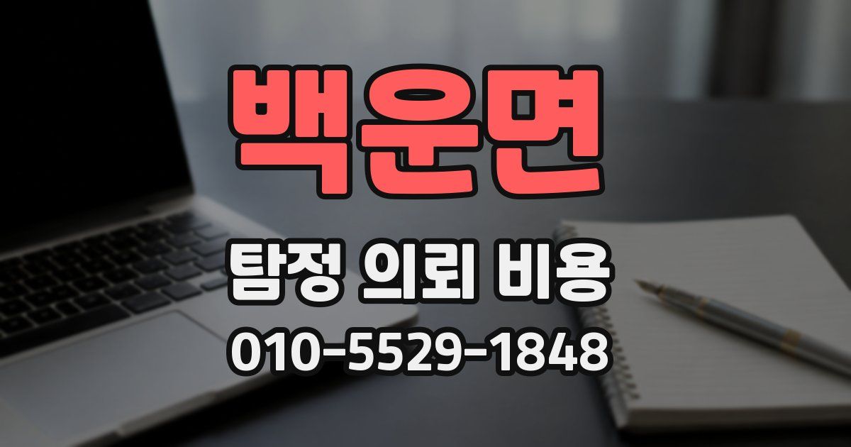 백운면 탐정 의뢰 비용
