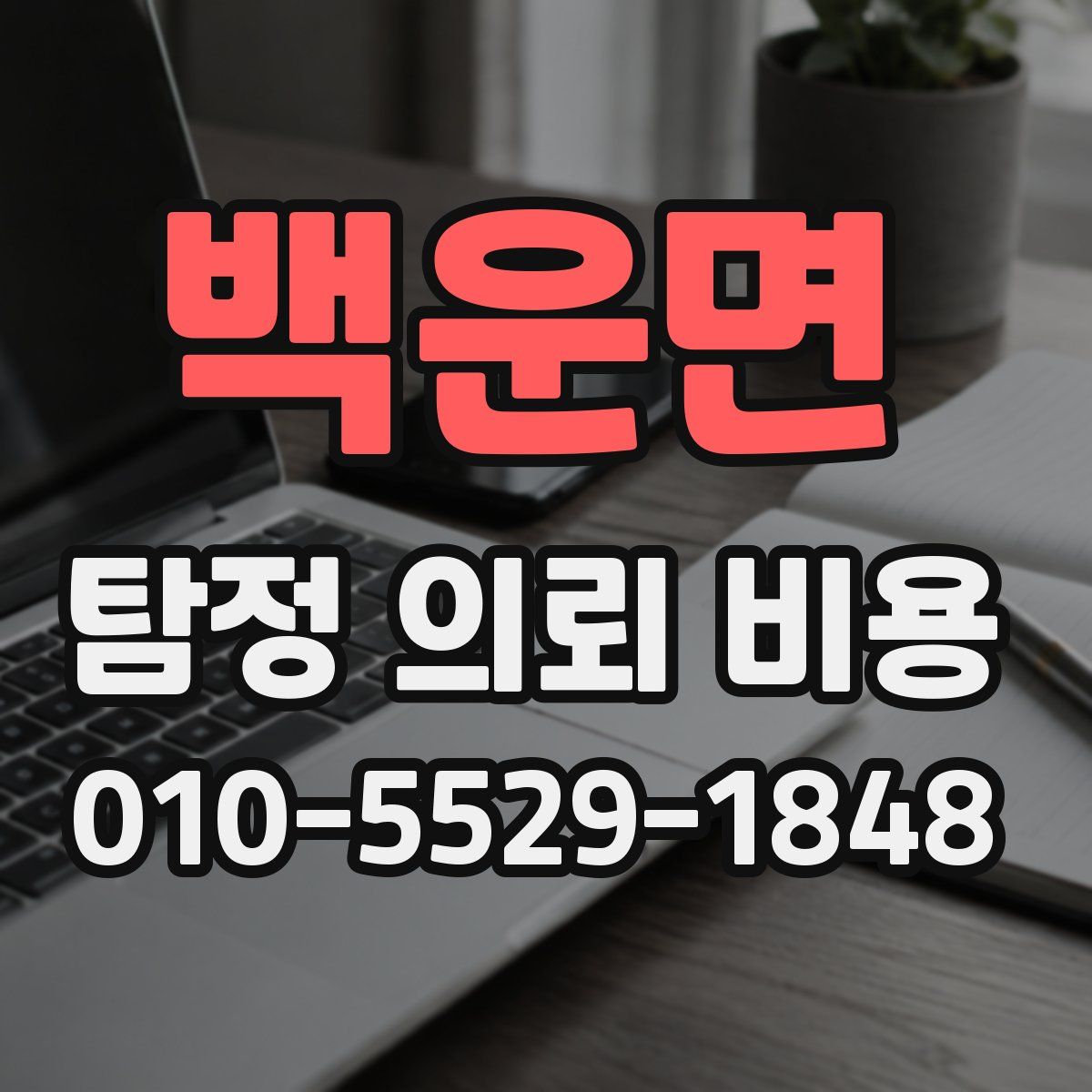 백운면 탐정 의뢰 비용