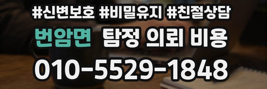 번암면 탐정 의뢰 비용