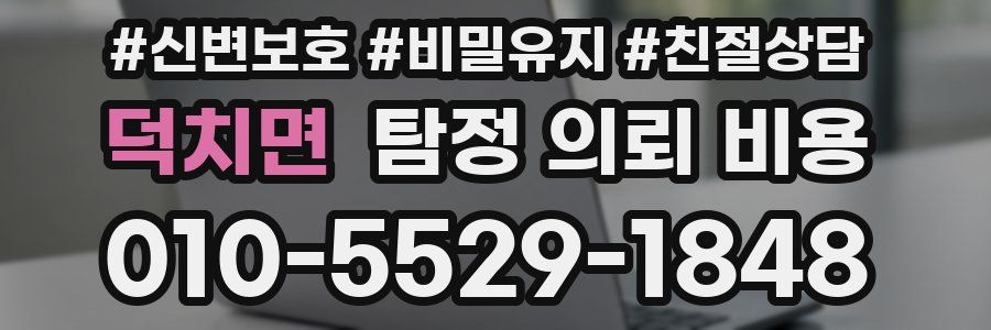 덕치면 탐정 의뢰 비용