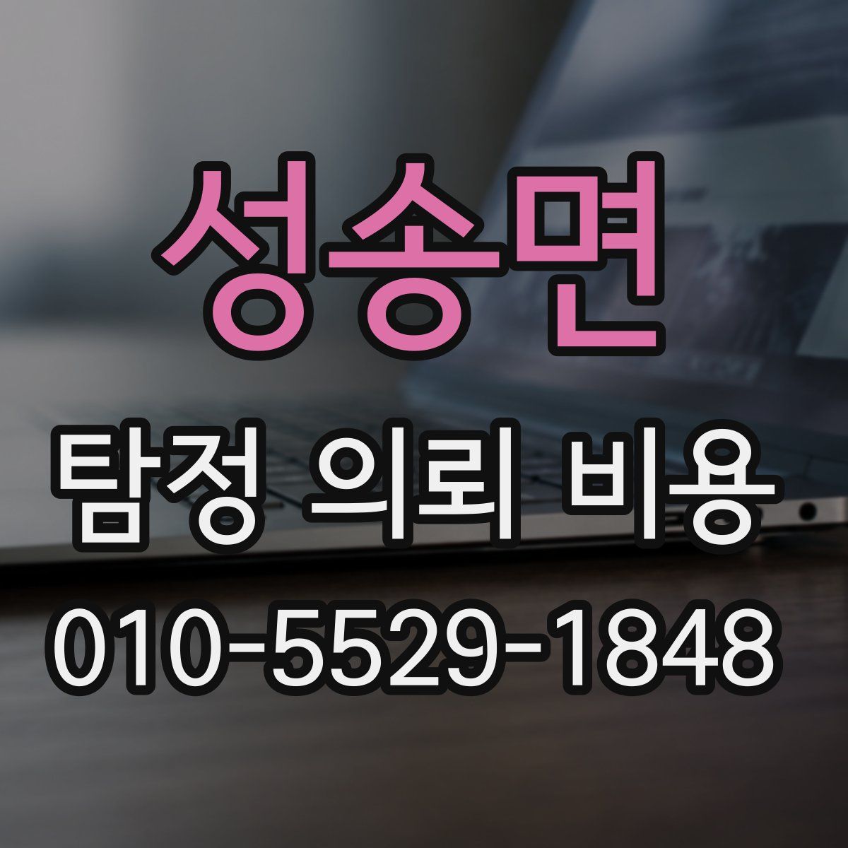 성송면 탐정 의뢰 비용