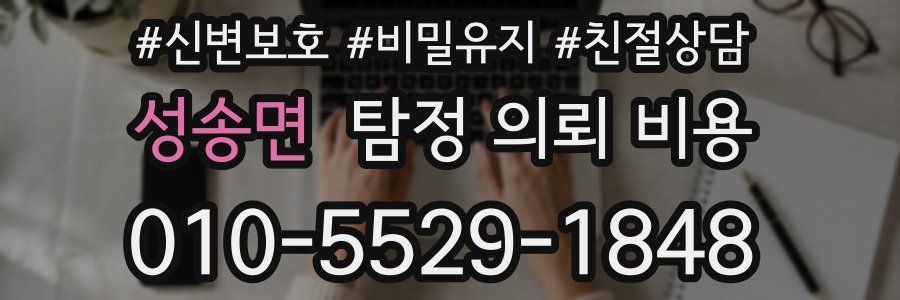 성송면 탐정 의뢰 비용