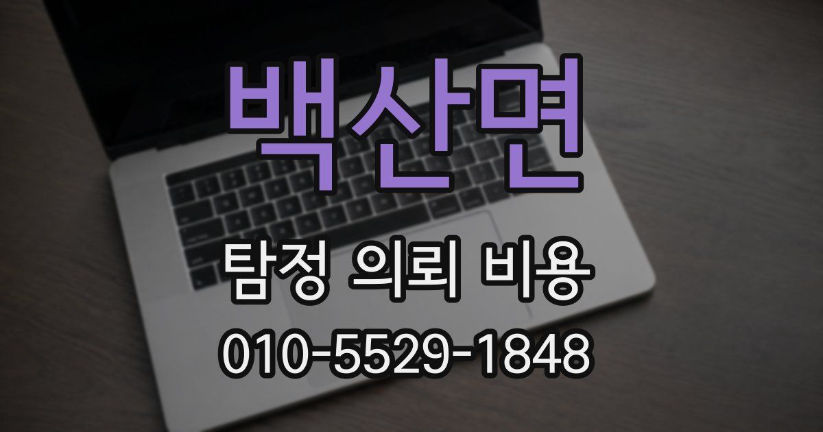 백산면 탐정 의뢰 비용
