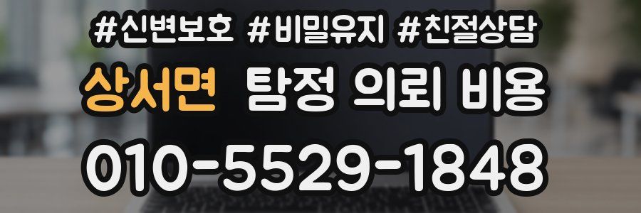상서면 탐정 의뢰 비용