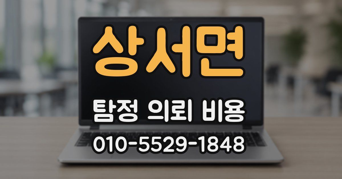 상서면 탐정 의뢰 비용
