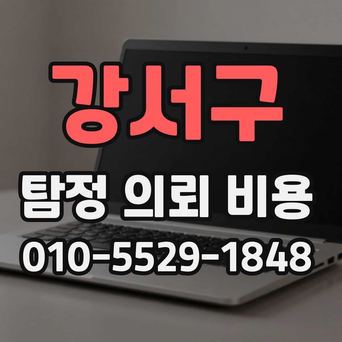 강서구 탐정 의뢰 비용